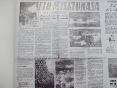 Destilacija lavande i ružmarina