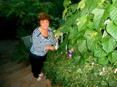 Oaza zelenila i mira