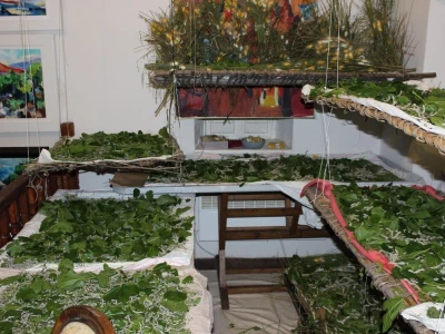 Dudov svilac kao kućni ljubimac