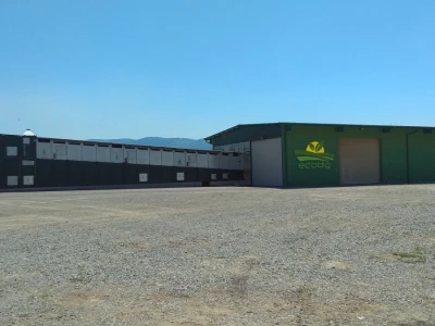 Ecodig