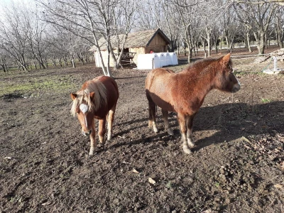 Edufarm u Crvenki