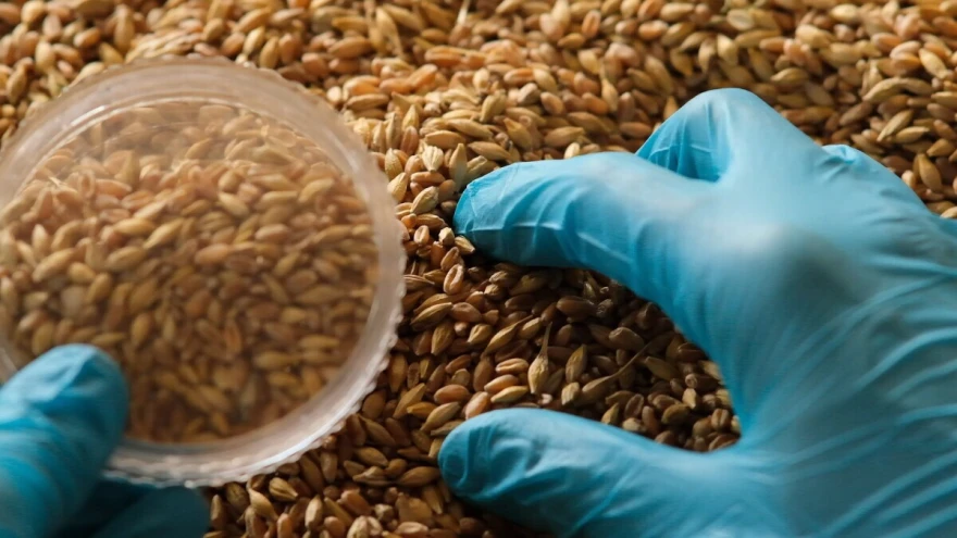EFSA