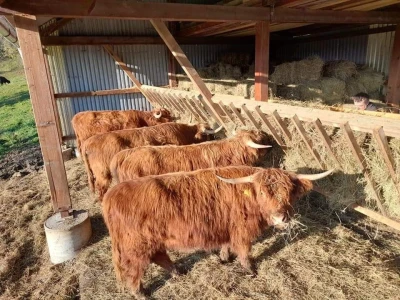 Eko farma Vrškovac