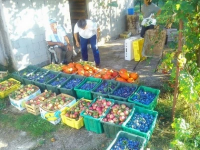 Eko voće