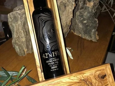 EKSKLUZIVNO - Sa masline stare 2.246 godina ubrali više od 100 kilograma vrhunskih plodova