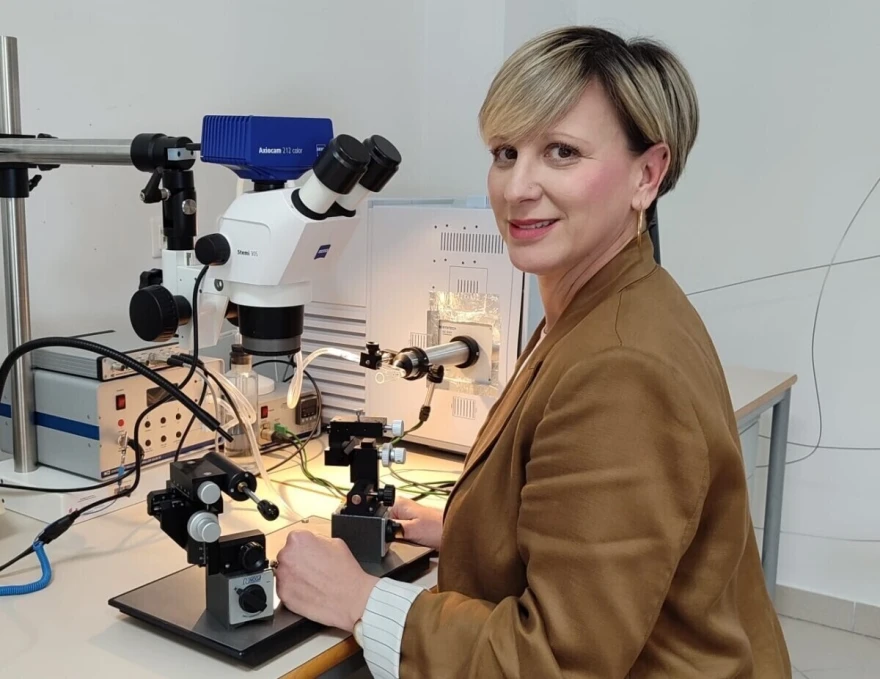Elda mikroskop