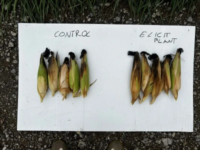 Elicit Plant Hrvatska - kontrola