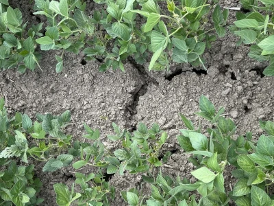 Elicit Plant Hrvatska - kontrola