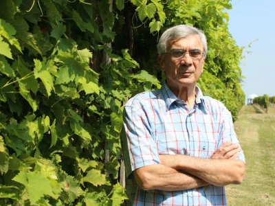Erdutska vinarija najavljuje nove investicije