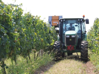 Erdutska vinarija najavljuje nove investicije