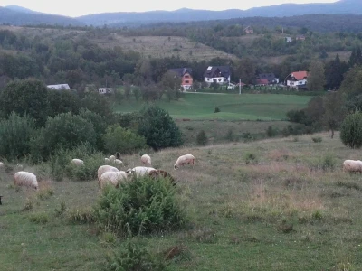 Etno sela
