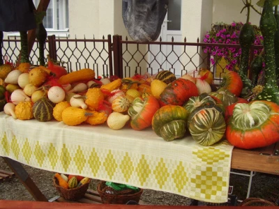 11. Etno susreti u Bilju