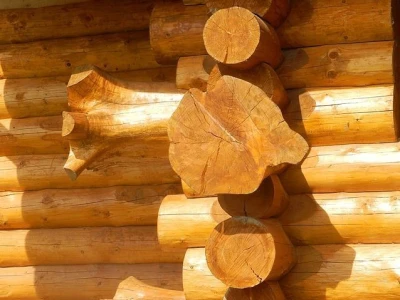 Etnolog Milan Drmić bavi se rijetkim zanatom - seli stare drvene kuće na nove adrese