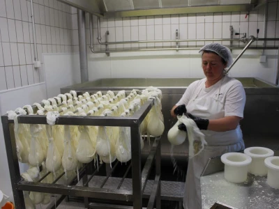 Europski agrarni novinari posjetili siranu Gligora