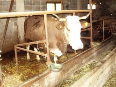 Tradicionalne farme u BiH