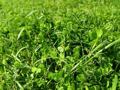 Farma Bilodar d.o.o. u Gudovcu