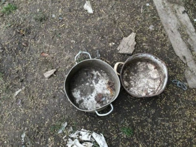 Zapuštena farma u Pavlovcu