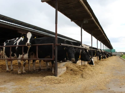 Farma Salaš u Marijancima