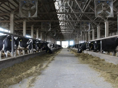 Farma Salaš u Marijancima