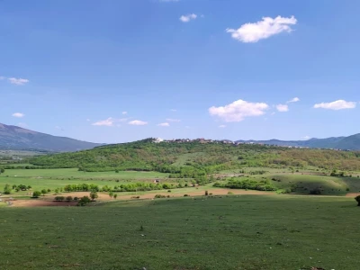 Farma sretnih krava na Krbavskom polju