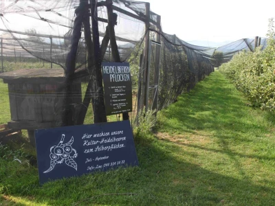 Farma za uzgoj voća i zabavu