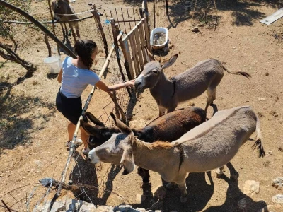 Farme na otoku Rabu koje posebno vole posjećivati djeca