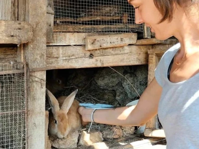 Farme na otoku Rabu koje posebno vole posjećivati djeca