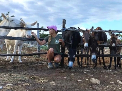Farme na otoku Rabu koje posebno vole posjećivati djeca