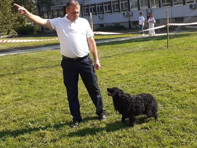 Farmica - autohtone pasmine domaćih životinja