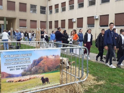 Farmica - autohtone životinje