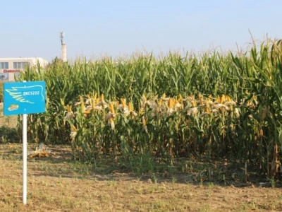 Dekalb na FarmShow 2015