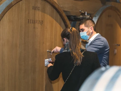 Feravino na dan sv. Martina otvorio vrata novih podruma