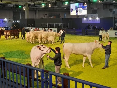 Fieragricola