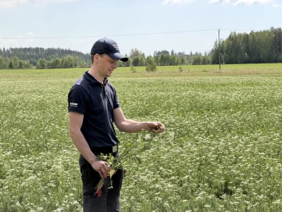 Finska