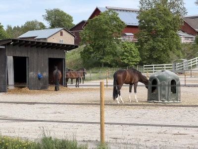 Finska
