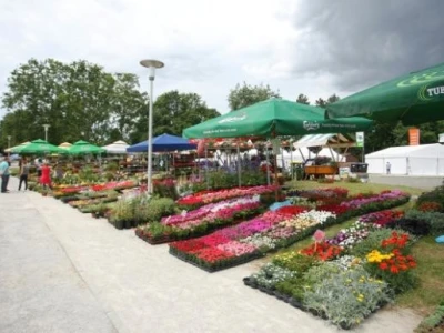 Floraart 2014