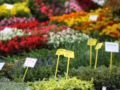 Floraart 2014