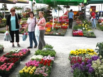 Floraart 2014