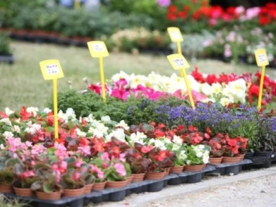 Floraart 2014