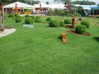 46. Floraart 2011.
