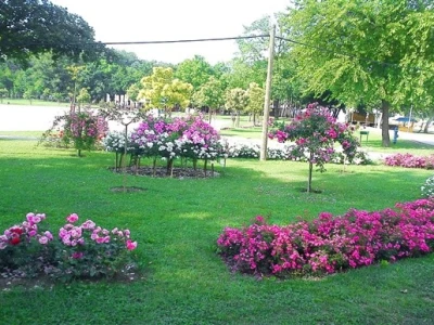 46. Floraart 2011.