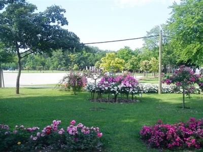 46. Floraart 2011.