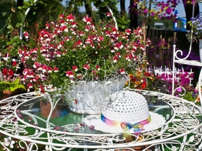 46. Floraart 2011.