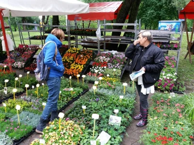 Floraart