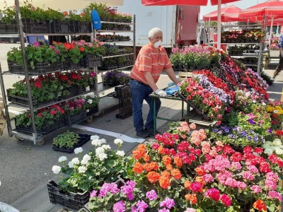 Floraart