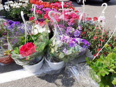 Floraart