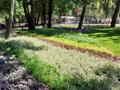 Floraart