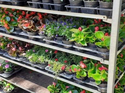 Floraart