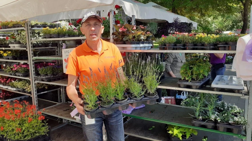 floraart, cvijeće, prodaja