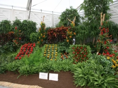 FloraArt 2012